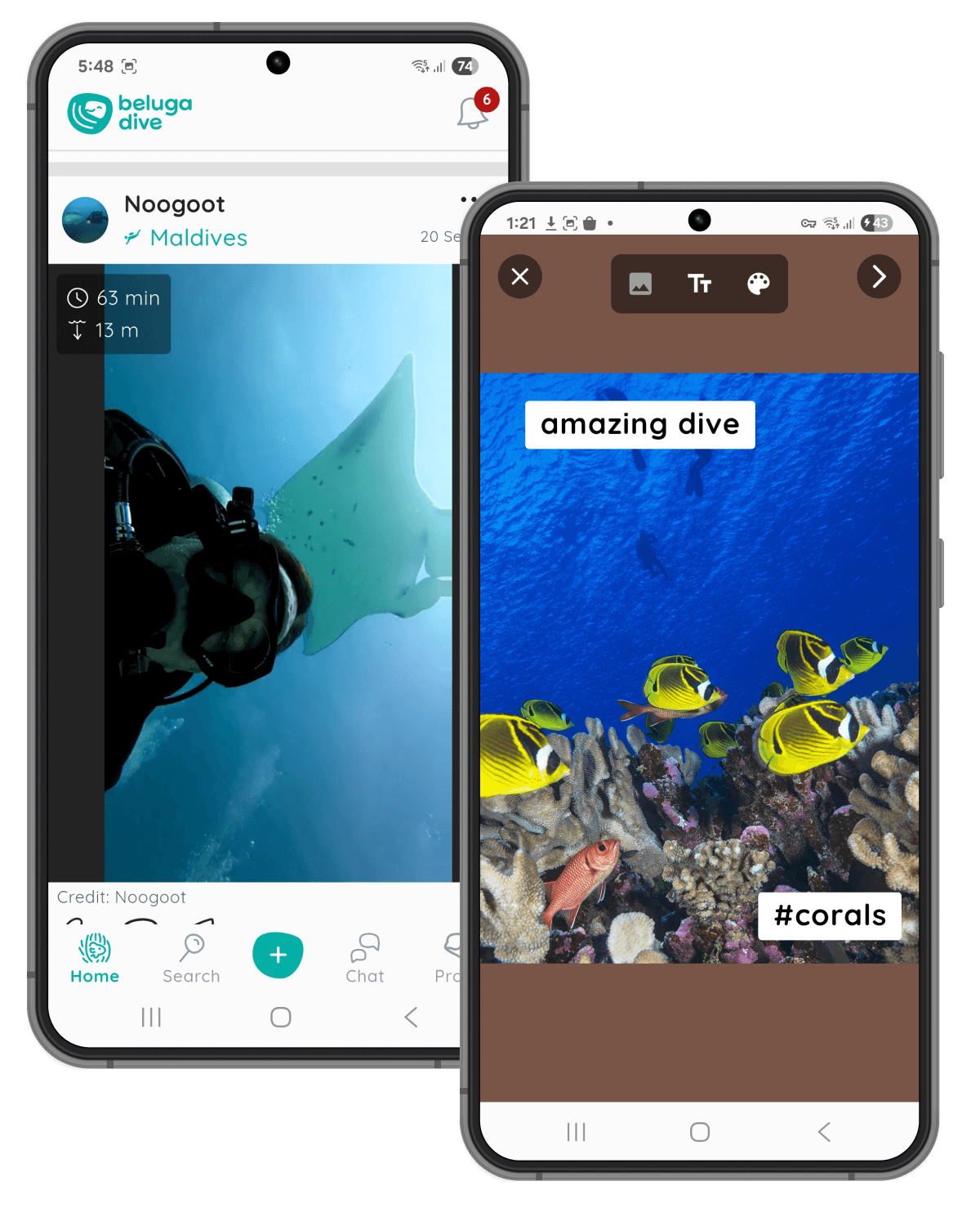 Social feed interface with posts and engagement